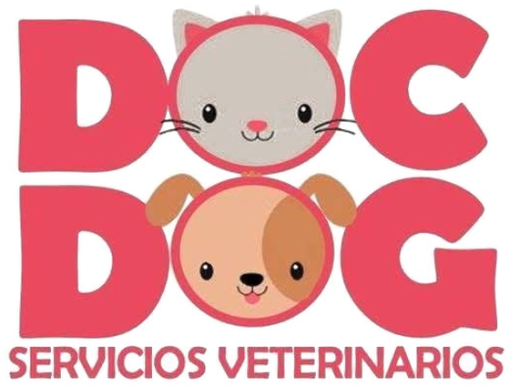 Doc Dog · Servicios veterinarios